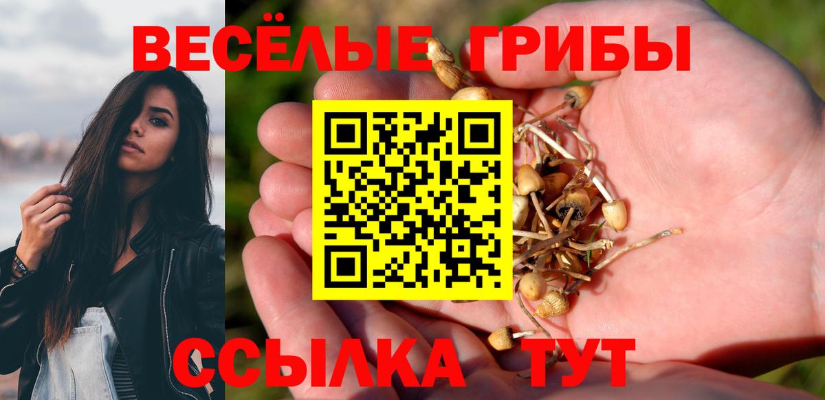 Псилоцибиновые грибы Psilocybe  сколько стоит  Жигулёвск  Вход с VPN 